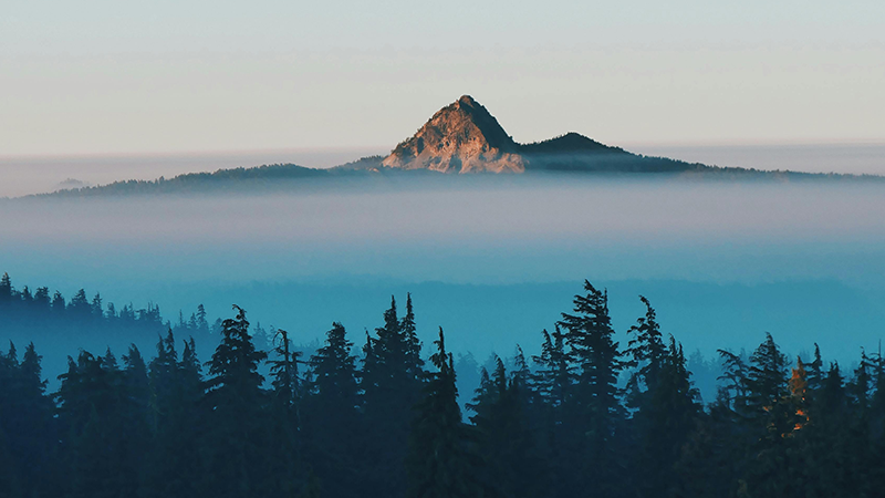 外用药细分龙头必发888制药登陆A股，打造“药箱”IP矩阵高筑护城河